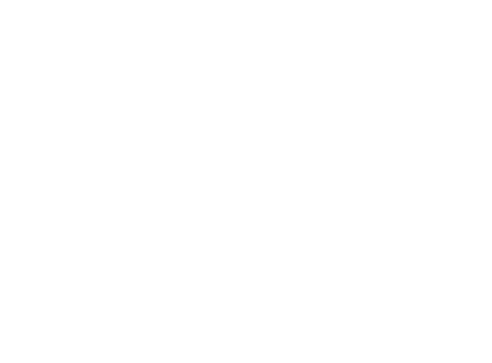 plastica-premier-ok-logo-trans-branco